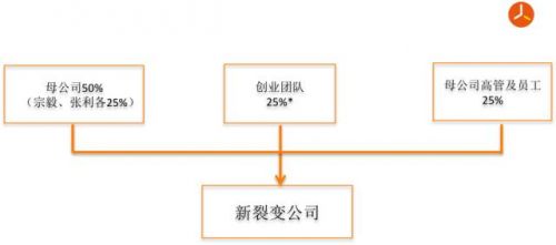 * 注：創業團隊5-6人。其中，總經理持股10%，創業團隊其他成員持股15%。