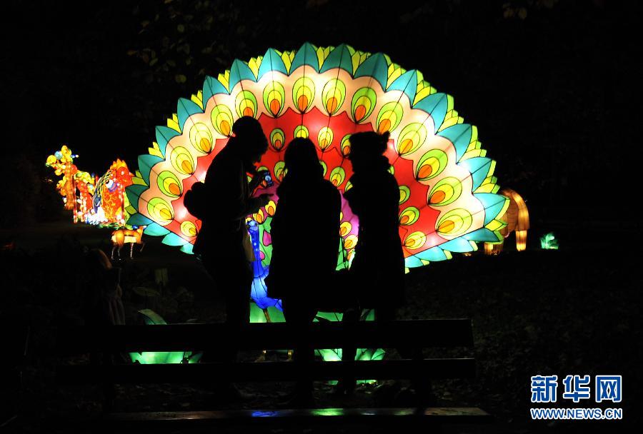 中國花燈首次登陸比利時