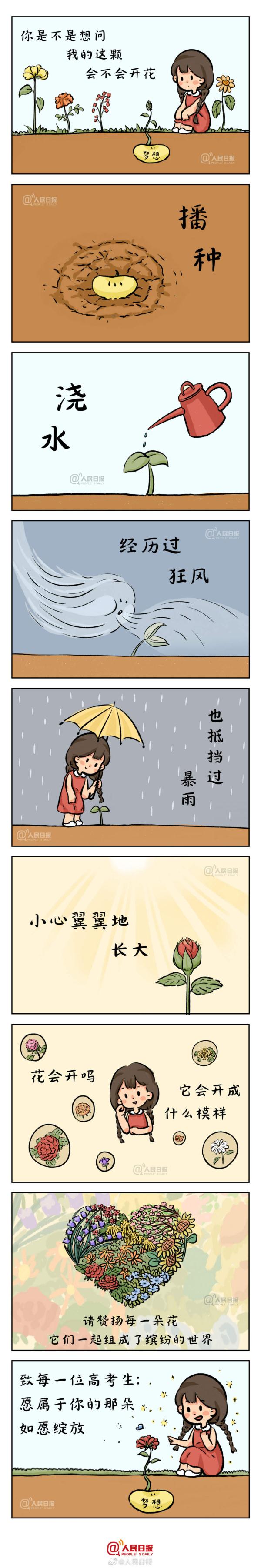 給1291萬高考生的手繪：願屬於你的那朵花如願綻放