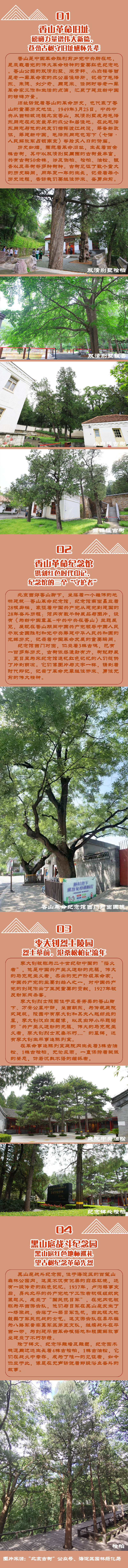 北京發佈4條夏季紅色主題古樹遊線