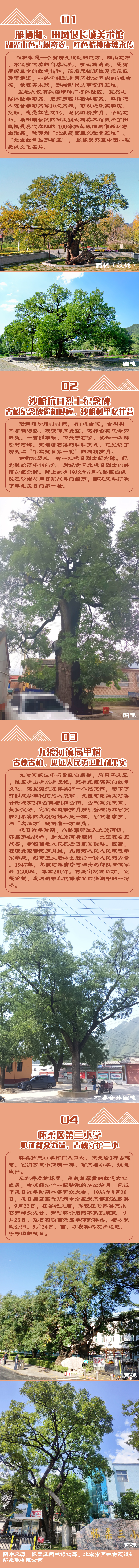 北京發佈4條夏季紅色主題古樹遊線