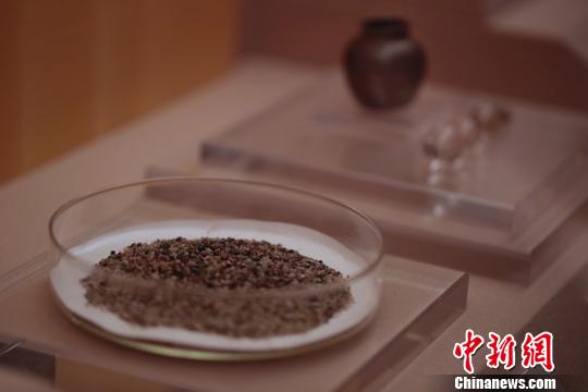 百餘件“千年古港”文物精品在上海博物館展出