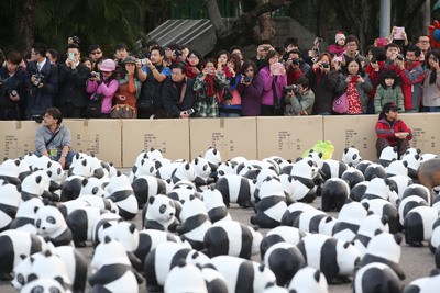 1600隻紙熊貓臺北快閃民眾圍觀爭拍照（圖）