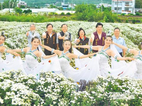 苗栗銅鑼鄉舉辦杭菊節邀遊客一飽眼福（圖）