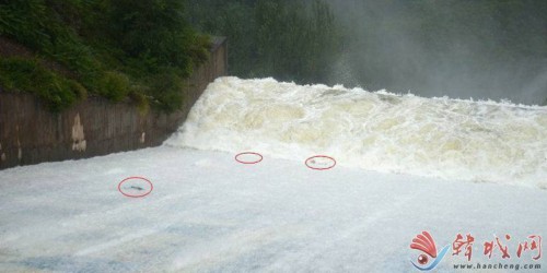 水庫泄洪 村民冒險撈大魚