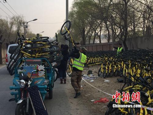 有故障的共用單車正源源不斷地送到維修點。<a target='_blank' href='http://www.chinanews.com/' _fcksavedurl='http://www.chinanews.com/' ></table><p  align=