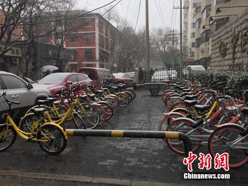 風雪中的共用單車。<a target='_blank' href='http://www.chinanews.com/' _fcksavedurl='http://www.chinanews.com/' ></table><p  align=