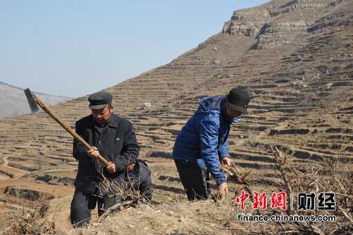 加多寶保證産品能追溯到源頭專家：好原料增加消費信心