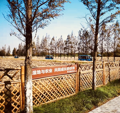 天福國家濕地公園_副本.jpg