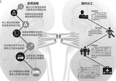 全國最大販腎案終審 組織者摘腎51枚獲利千萬