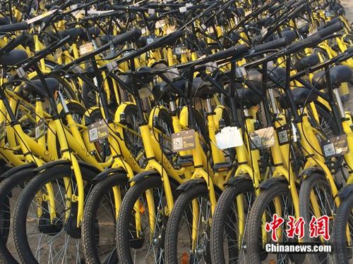 在共用單車維修點，很多共用單車二維碼被涂損。<a target='_blank' href='http://www.chinanews.com/' _fcksavedurl='http://www.chinanews.com/' ></table><p  align=