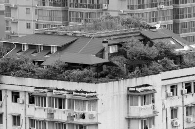 武漢有業主買下整個頂樓加建雙層花園別墅