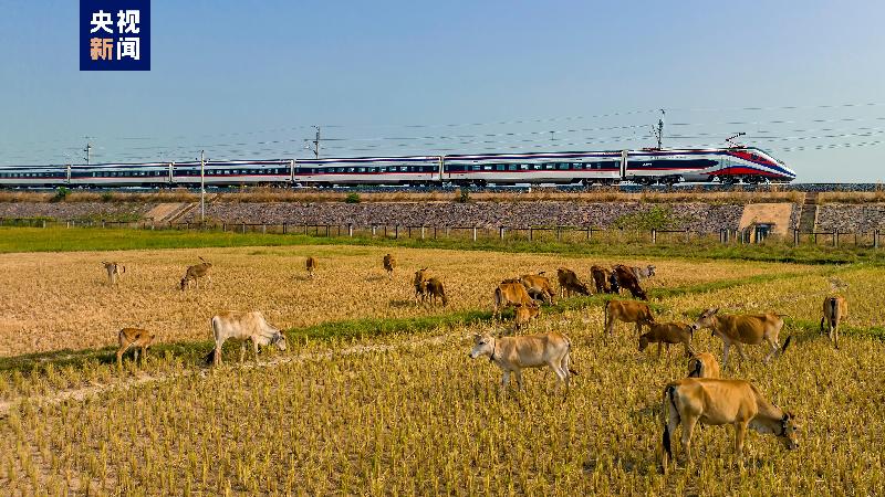 開通運營18個月 中老鐵路交出亮眼成績單