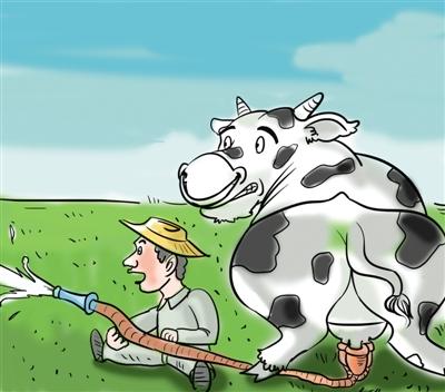河北奶農因奶價狂跌每日倒奶 養豬戶買鮮奶喂豬