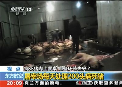 11省區病死豬肉
