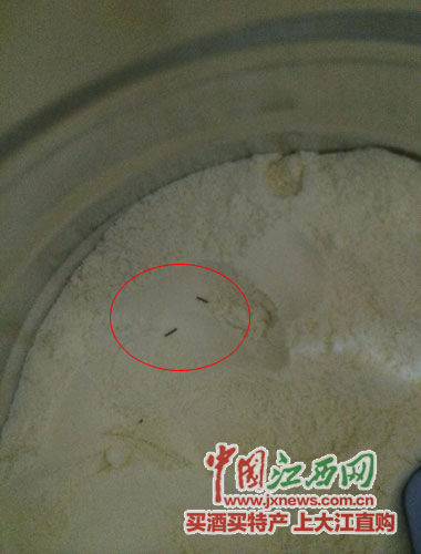 雅培奶粉被曝吃出黑色異物 曾陷“甲蟲門”