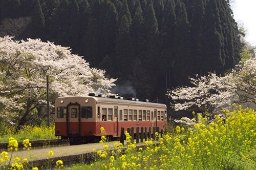 日本鐵道公司將提供免費WiFi