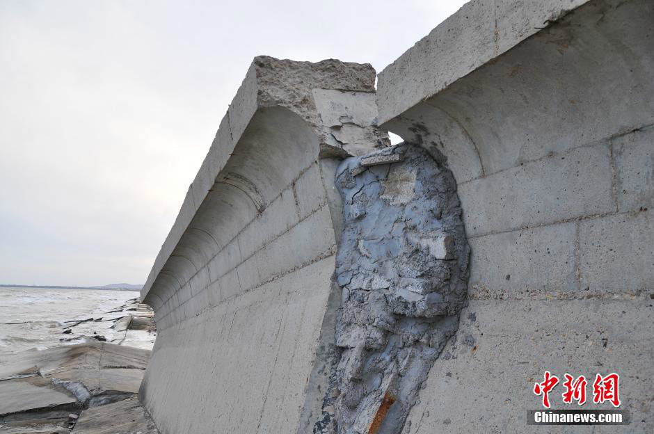 山東日照沿海防潮堤垮塌 數百米竟無一根鋼筋(組圖)