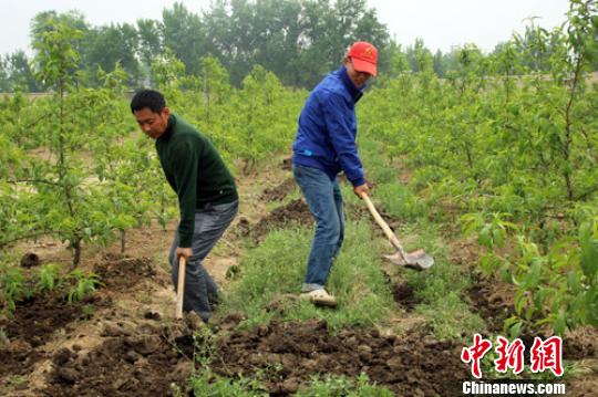 河北定州投資13億打造北京高端果品基地