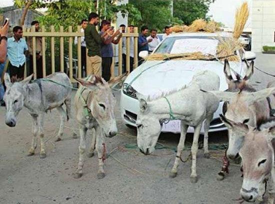 印度一男子新買豪車問題多 無奈將其變“驢車”(圖)
