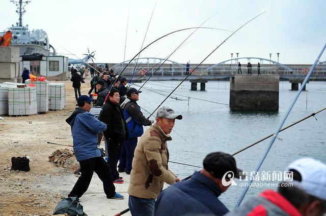 青島市民釣魚不用餌 有市民一天釣到40多斤魚