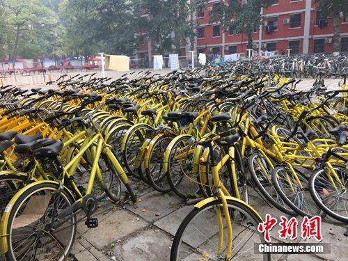 資料圖。北京某所高校內的共用單車數量驚人。中新網 吳濤 攝