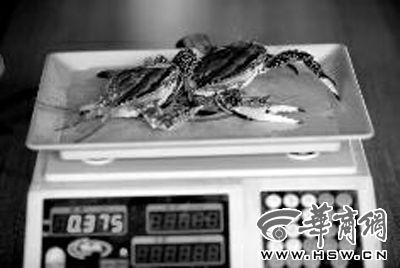 媒體揭水産市場賣蟹貓膩：包裝佔總重26%