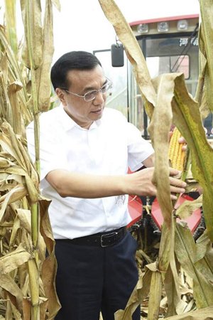 李克強24日到河南長葛老城鎮西關村高標準農田察看玉米收成。圖片來自中國政府網