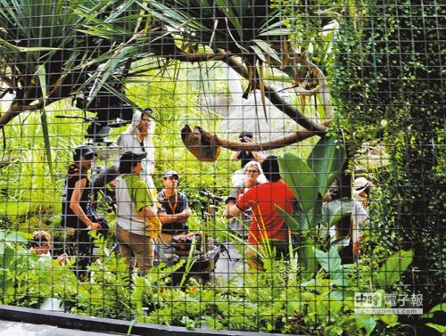 臺北動物園成影視劇最熱拍攝地少年PI曾取景