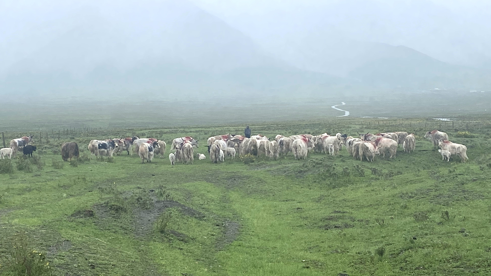 同懷家國夢 共畫同心圓——隴原大地奏響多民族融合發展之歌