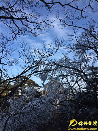 冬日黃山銀裝素裹 人間仙境引兩岸媒體齊點讚