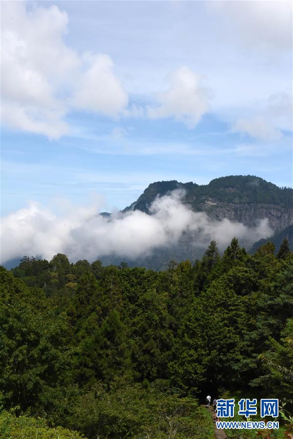 避暑勝地阿里山