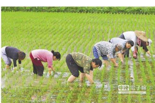 不做憂鬱有錢人臺灣憨農夫捍衛彈藥庫“綠寶石”