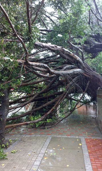 梅雨季造成臺灣中部豪雨成災