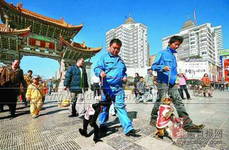 長臂猿牽手猴哥進城辦年貨 順路給市民拜早年