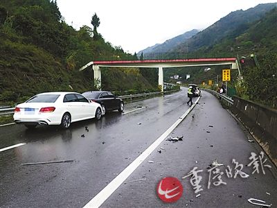 3輛豪車高速避讓流浪狗發生連環車禍損失十多萬