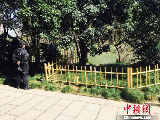 揚州瘦西湖景區黑天鵝被虐警方正全力尋肇事遊客