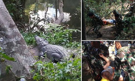 肇事鱷魚和現場搶救圖片