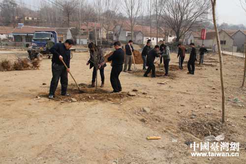 市臺辦機關組織義務植樹活動