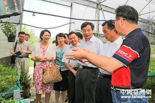 陳國興（右2）、施東紅（右3）、鄒小玲（左2）考察高要農業