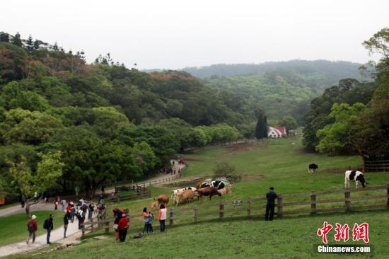 臺灣休閒農業、鄉村旅遊名點——苗栗飛牛牧場覽勝