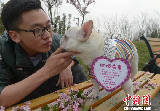 成都“單身狗”公園內徵婚求脫單引圍觀