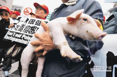  國民黨高雄黨團提“瘦肉精零檢出”遭民進黨強勢否決。（圖片來源：臺灣 《中時電子報》）