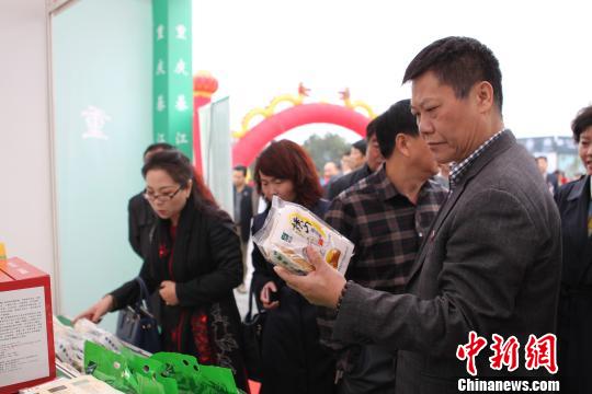 兩岸同名鄉鎮代表聚首重慶構建基層協作機制謀發展