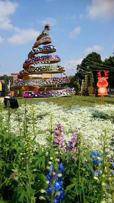 臺北市辦花卉聖誕聚會打造充滿聖誕味的主題公園