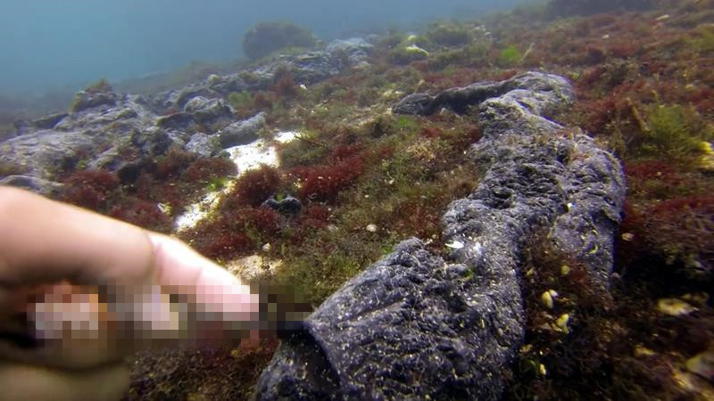 臺灣綠島變“黑島”重油污染淪為國際垃圾場