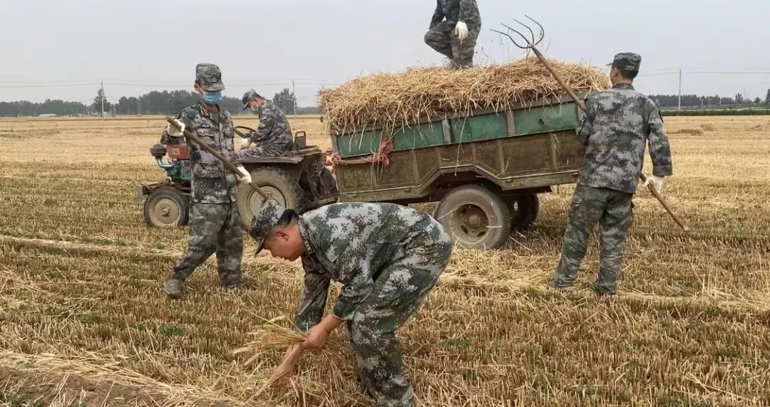 肖思遠父母為啥偷偷收麥子？真相是……