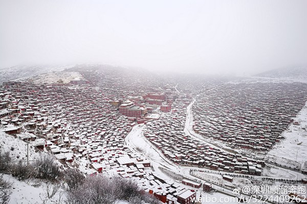 昨天，四川省甘孜藏族自治州出現降雪，一片銀裝素裹。（圖片來源：新浪微博）