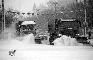 2月19日，在新疆阿勒泰地區布爾津縣城，清雪車在清掃路面積雪。新華社發