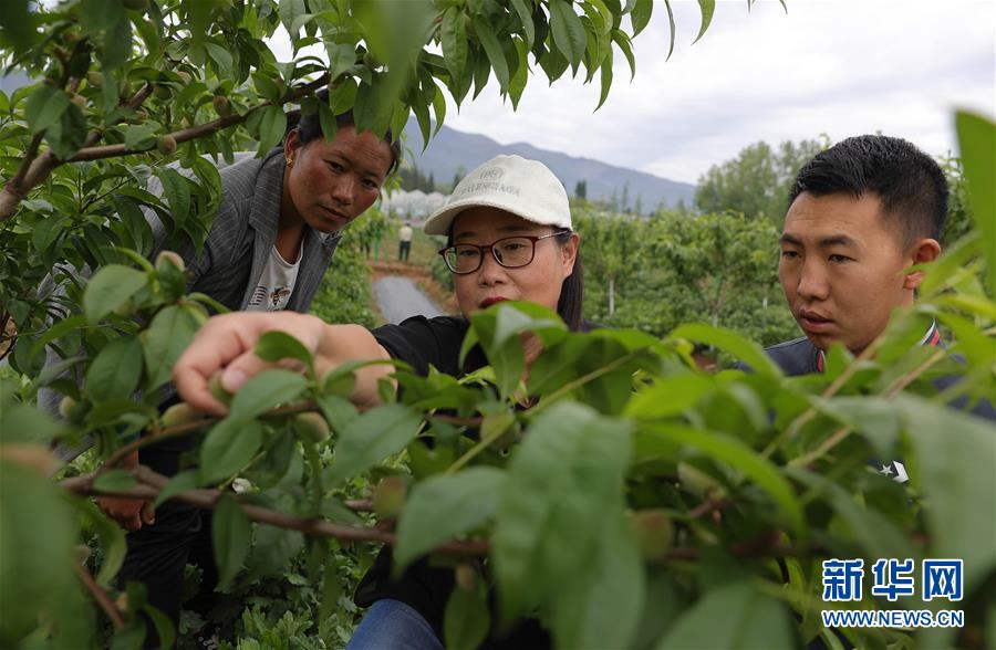 （決戰決勝脫貧攻堅�督戰未摘帽貧困縣�圖文互動）（3）12000多個“火種”點亮大涼山